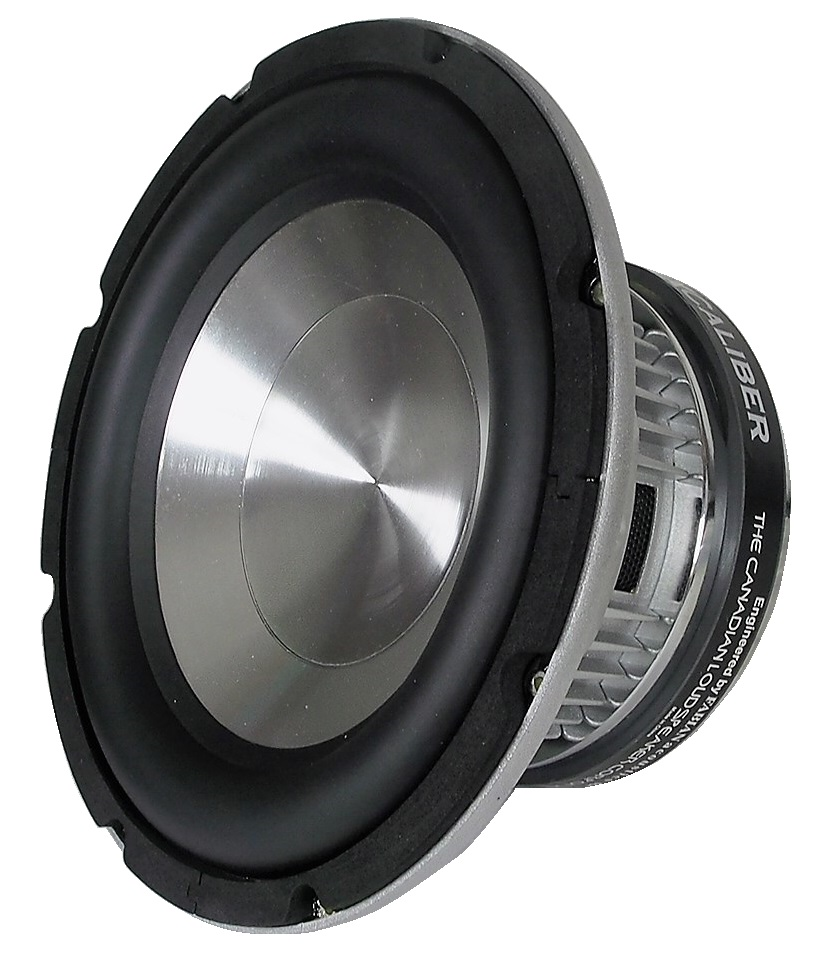 Haut-parleur de basse fréquence 8 ohms - 10