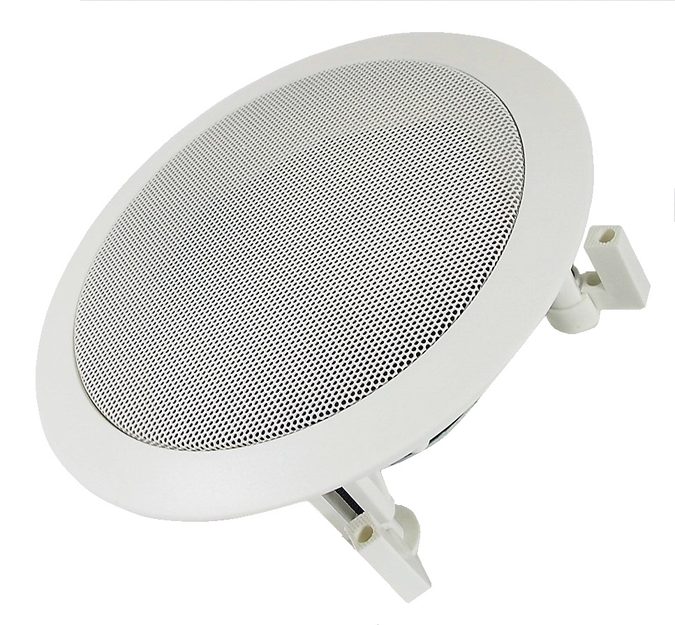 Haut-parleur Avalanche pour plafond de 5