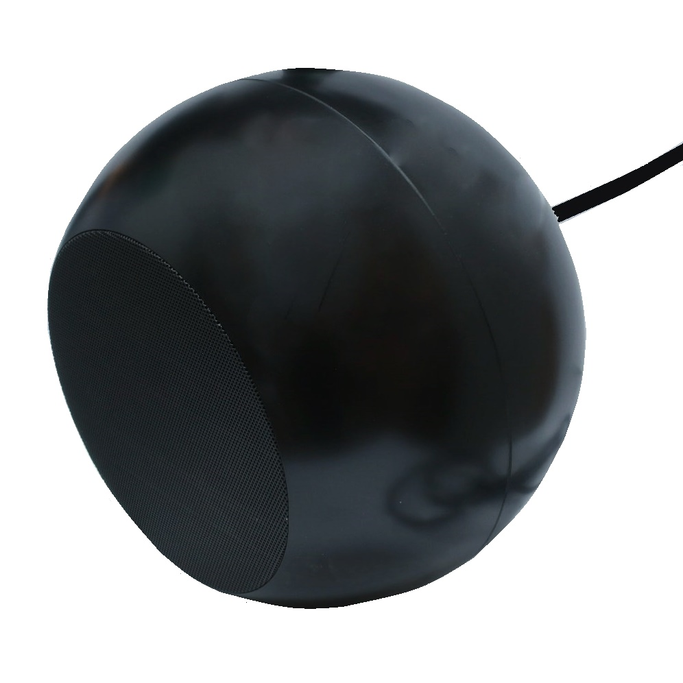 Haut-parleur de plafond à suspendre - grille plate